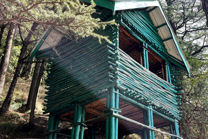 Shimla Water Catchment Wildlife Sanctuary