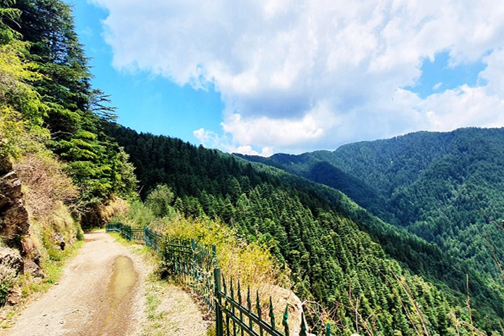 Shimla Water Catchment Wildlife Sanctuary