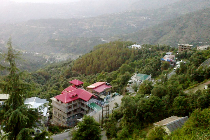 Shoghi