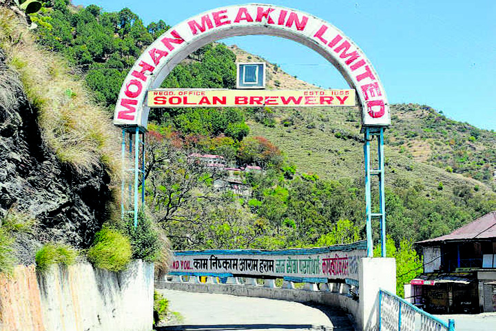 Solan Brewery