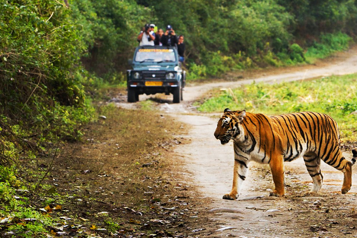 Sonanadi River Wildlife Sanctuary