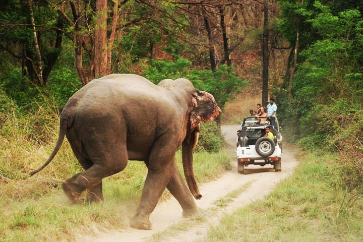 Sonanadi Wildlife Sanctuary Corbett National Park
