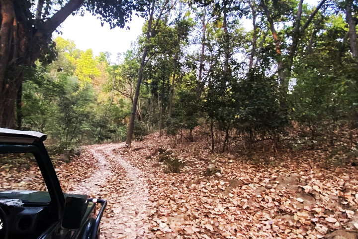 Sonanadi Wildlife Sanctuary Corbett National Park