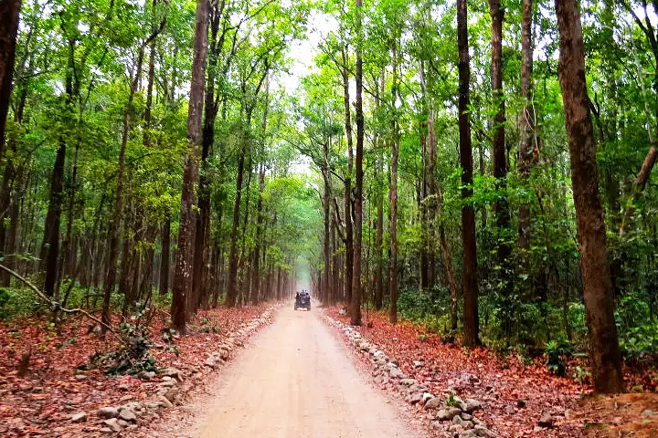 Sonanadi River Wildlife Sanctuary