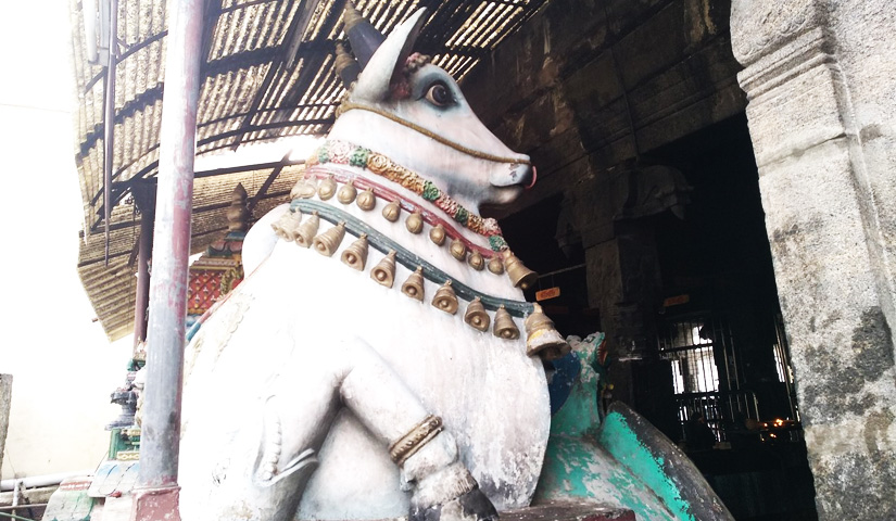 Sugavaneswarar Temple