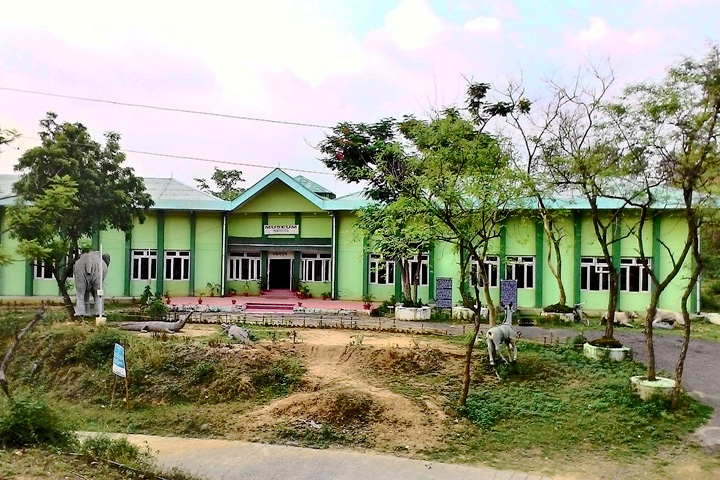 Suketi (Shivalik) Fossil Park