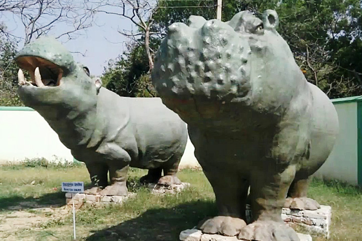 Suketi (Shivalik) Fossil Park