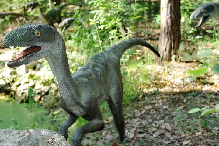 Suketi (Shivalik) Fossil Park