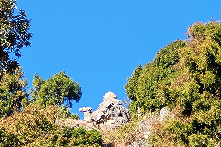 The Camel Rock