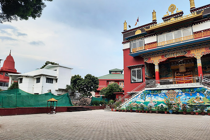 Tibetan Homes School