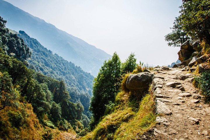 Triund Hill (Triund Top)