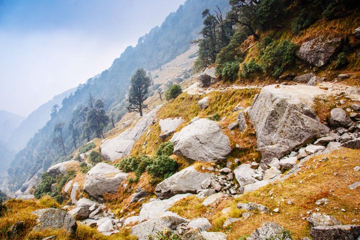 Triund Hill (Triund Top)