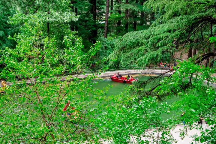 Van Vihar National Park (Dhungri)