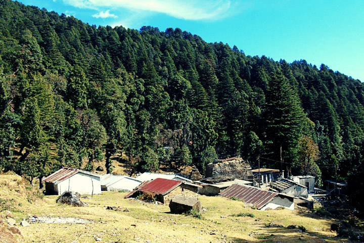 Vijaypur Village