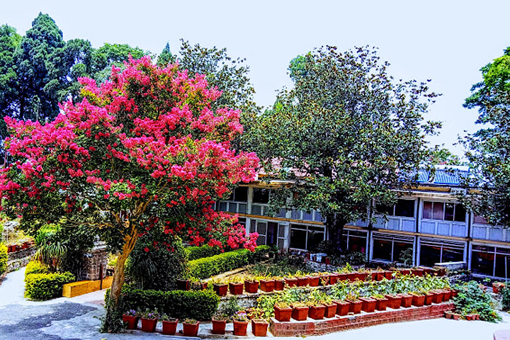 Vivekananda Ashram Shyamla Tal