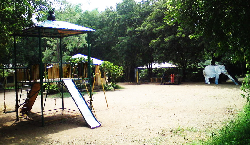 White Peafowl-Kurumbapatti Zoological Park
