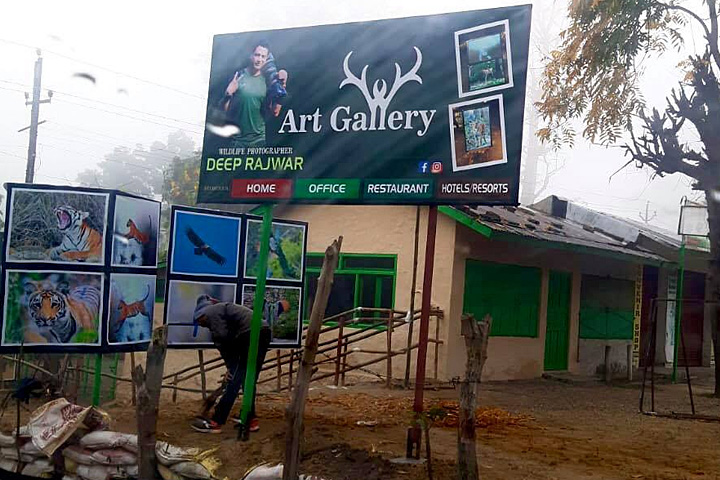 Wildlife Art Gallery