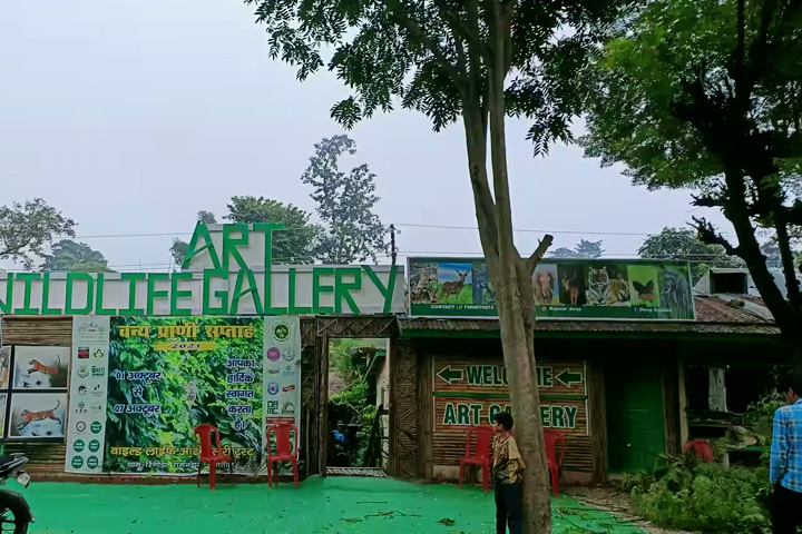 Wildlife Art Gallery