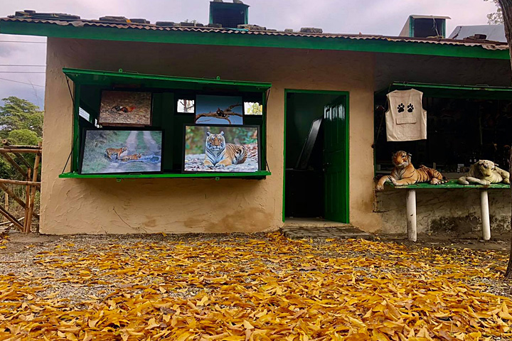 Wildlife Art Gallery