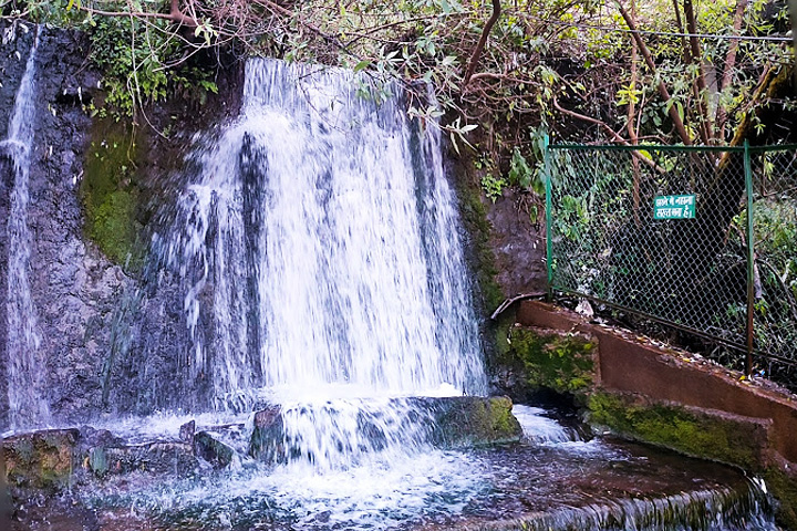 Woodland Water Fall