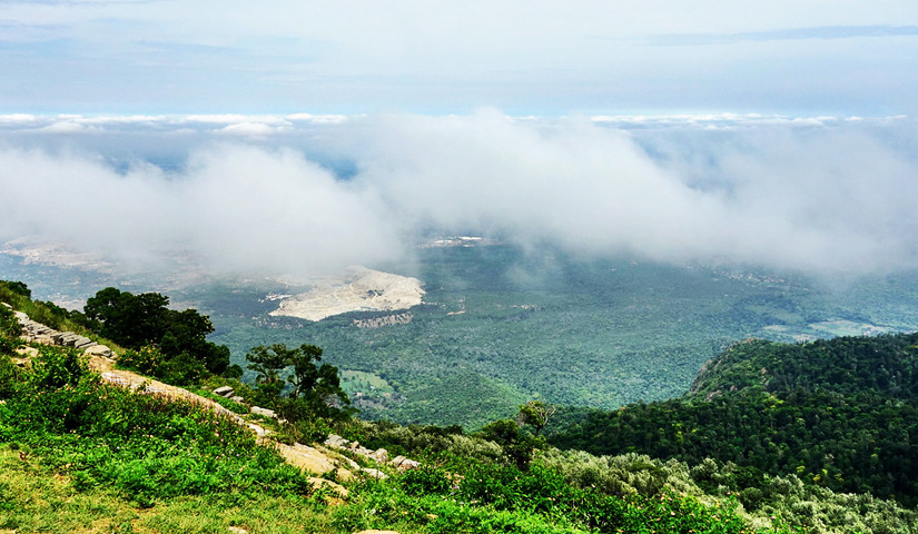 Yercaud Hill Station