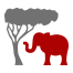 Animal Safari