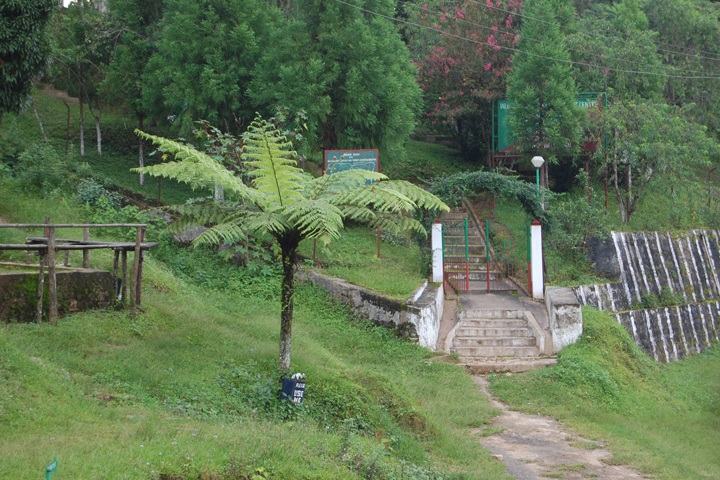 1522128494672-Ialong-Park.jpg