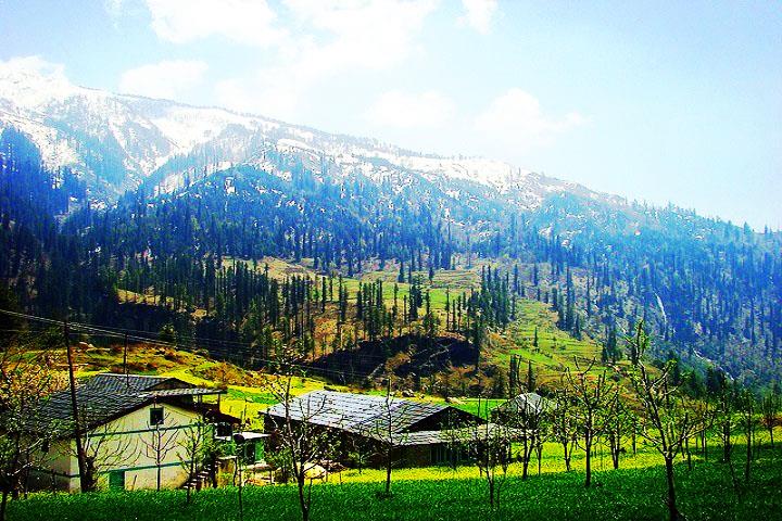 1522144377627-manali-Gulaba.jpg