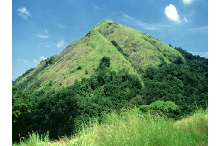 1523005981486-Ranipuram-trekking.jpg