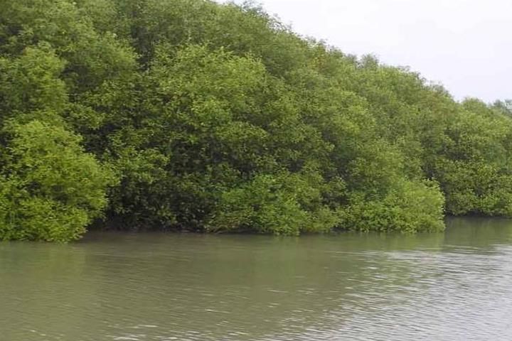1523007540799-MuthupetLagoon.jpg