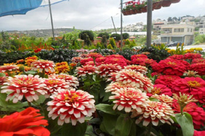 1523263705691-mahbubnagar.jpg