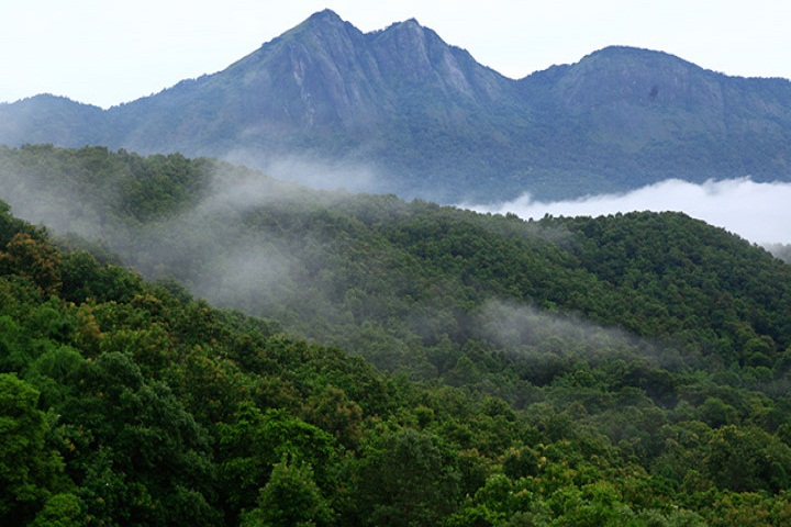 1525773636522-silent-valley-national-park-palakkad.jpg