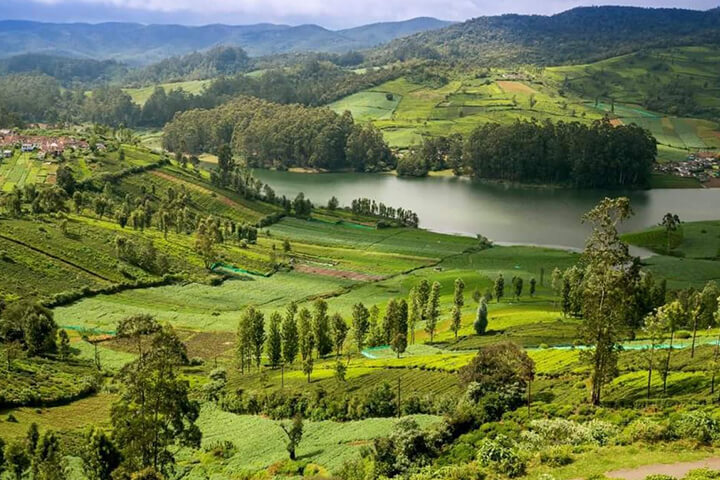 1525930783365-ooty_3.JPG