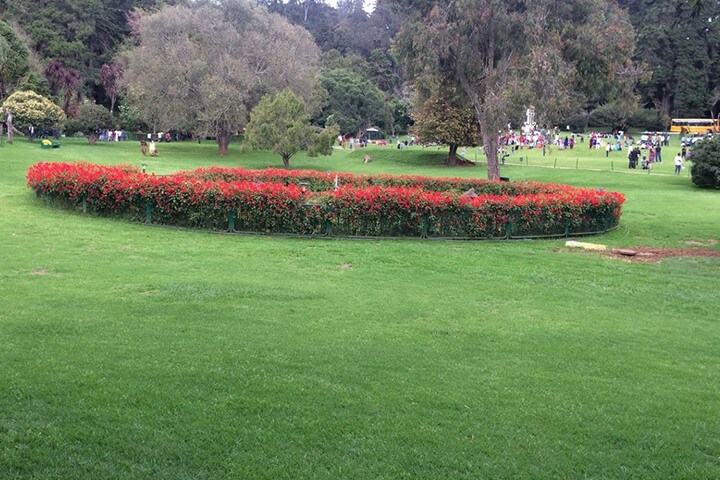 1525931098913-ooty_8.JPG