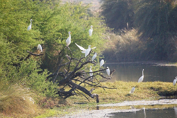 1525939607069-Bird-sanctuary-Van-Vihar-Bhopal.jpg