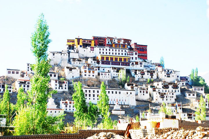 Thiksey Monastery Leh