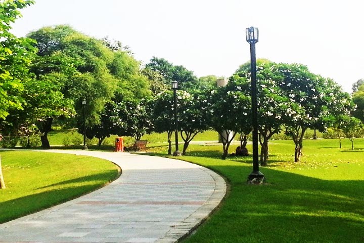 Lohia Park