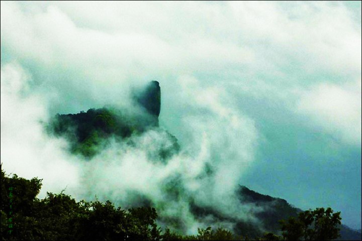 Nagphani Dukes Nose