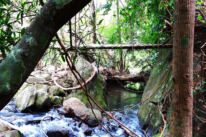 Meenvallam Water Falls