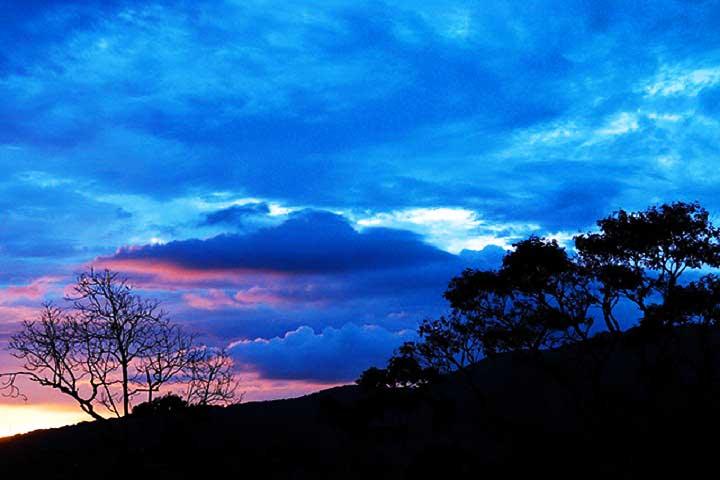 Nelliyampathy Hills