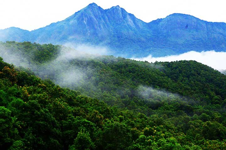 Silent Valley National Park