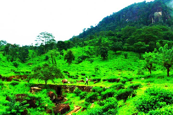 Peppara Dam and Wildlife Sanctuary