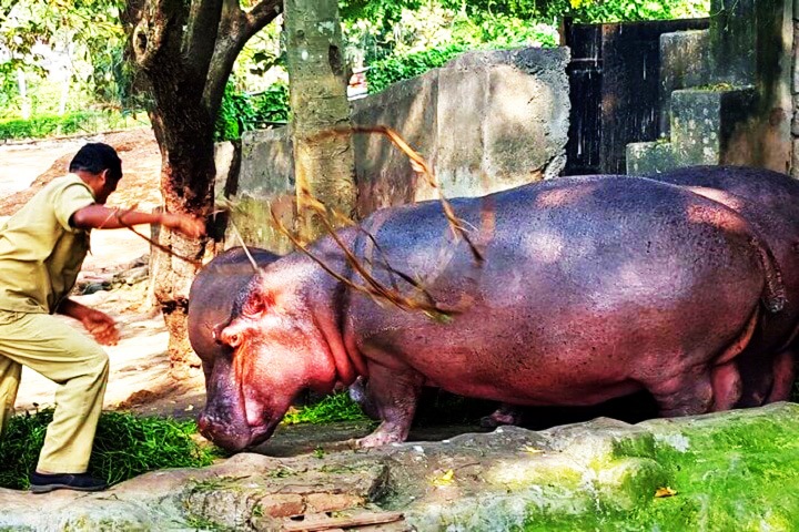 The-Zoological-Park
