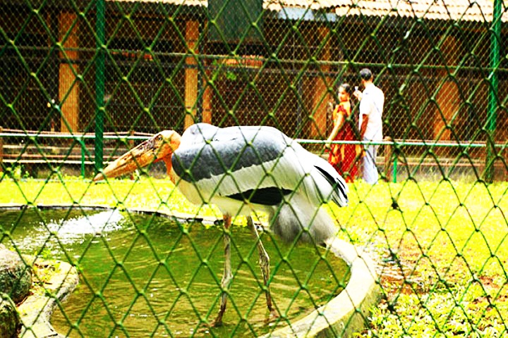 Thrissur Zoo & Museum