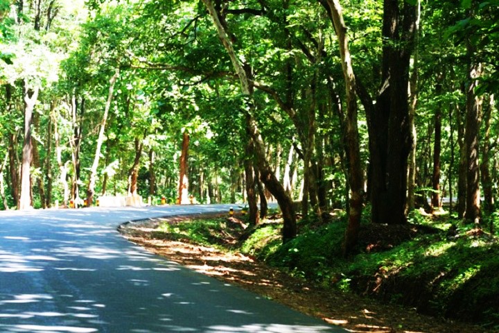 Agumbe Rainforest Research Station