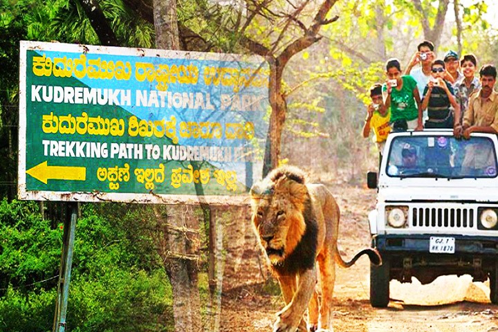 Kudremukh National Park
