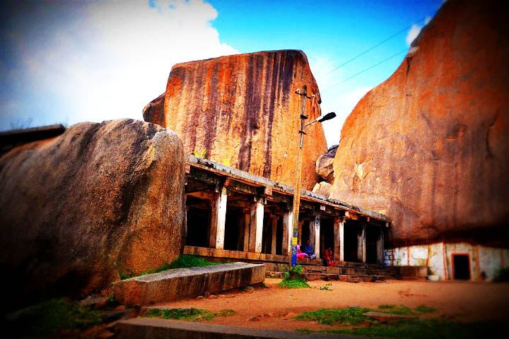 Ankali Mutt
