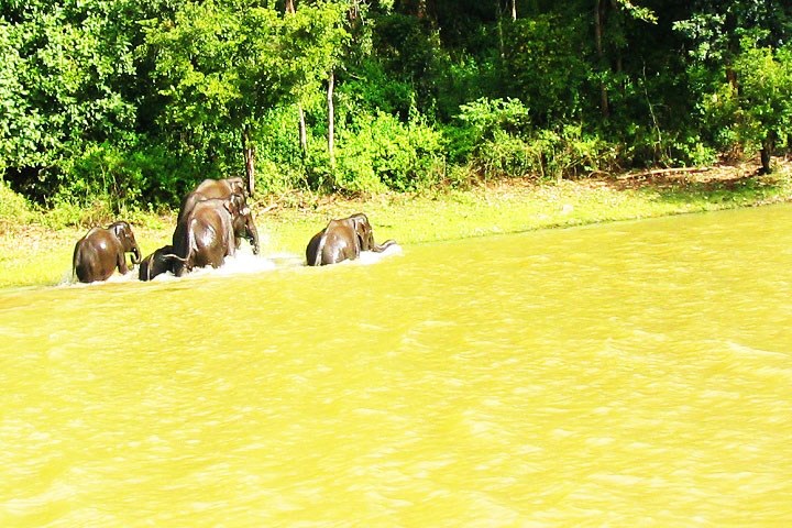 Kabini Banglore