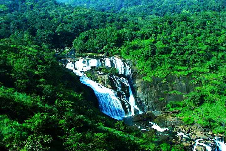 Pushpagiri Wildlife Sanctuary