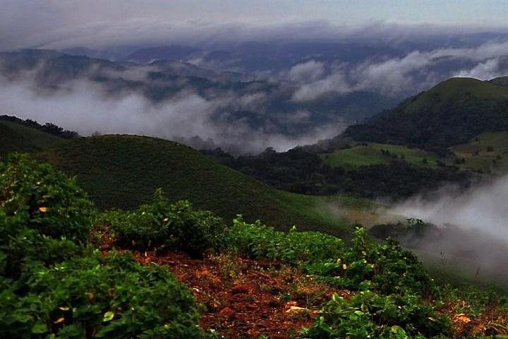 Mandalpatti